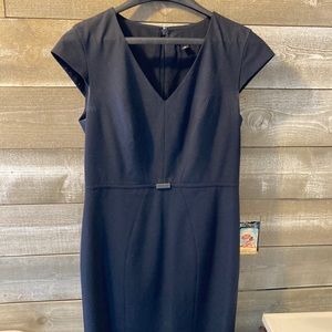 Ann Taylor Dress
